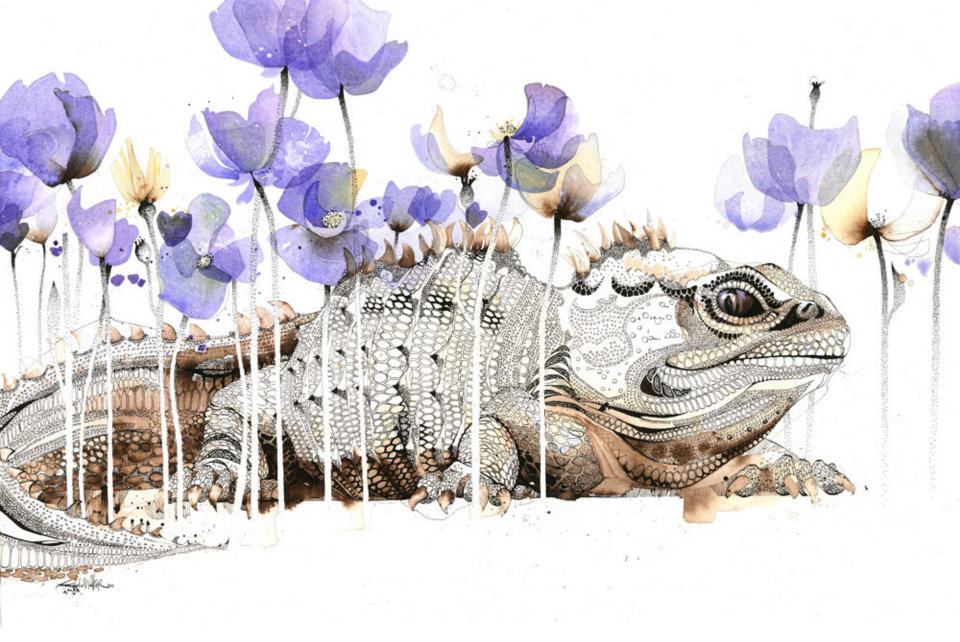 T Violet Eyed Tuatara