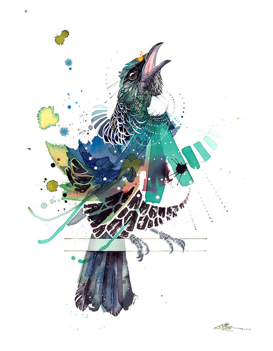 B01 Songbird - Tūī