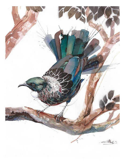 B01 Tūī