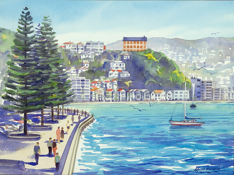 Oriental Bay from Carlton Gore Road
