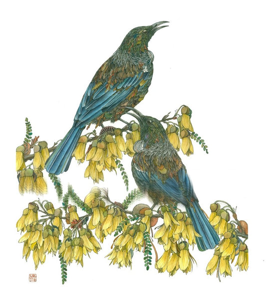 Naghigoe Ni – Two Tui in Kowhai