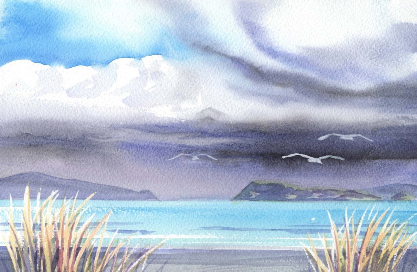 b05 Approaching Storm - Petone Beach