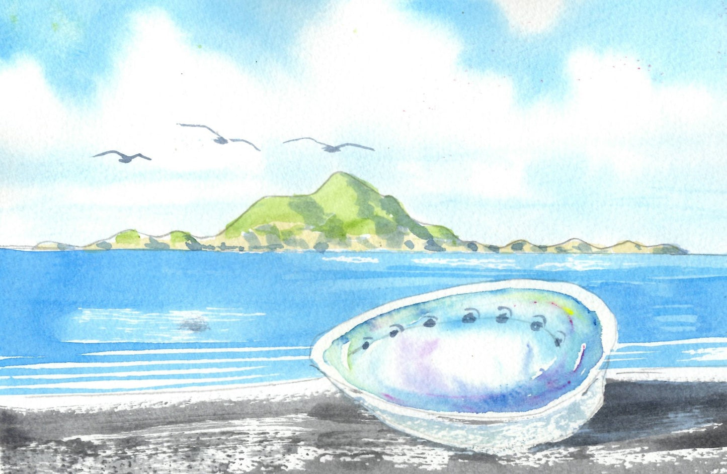 g01 Paua Shell on Island Bay Beach