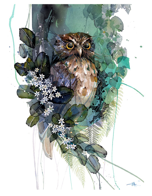 Morepork/Ruru Putaputaweta