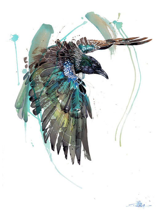 B01 Tūī OnThe Wing